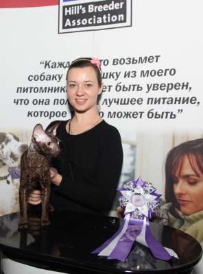 �������� ����� '������� ���-�����' 30 ������-1 ������� 2013., WCF-����� 4290